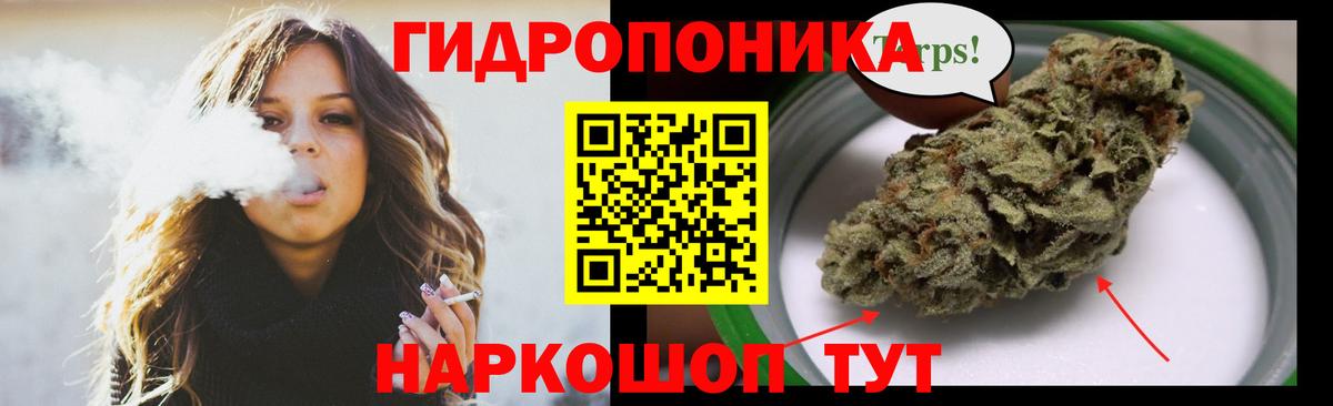 Бошки марихуана SATIVA & INDICA Старая Русса